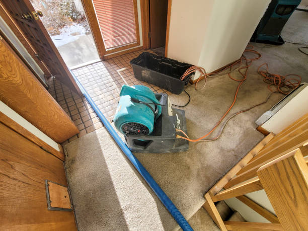 Best Water damage restoration experts  in Messiah College, PA