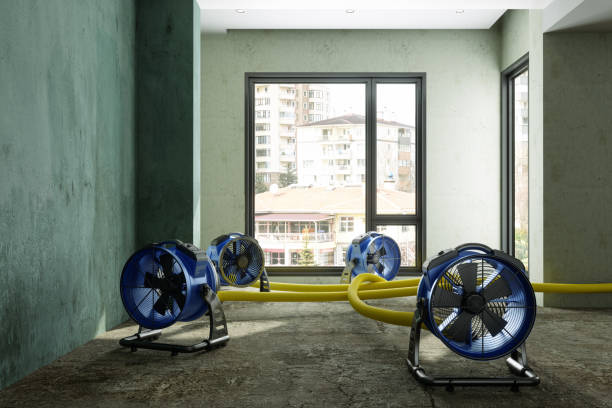 Best Commercial water damage restoration  in Messiah College, PA